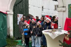 SteinerAdventt2024_02