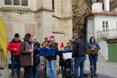 SteinerAdventt2024_08
